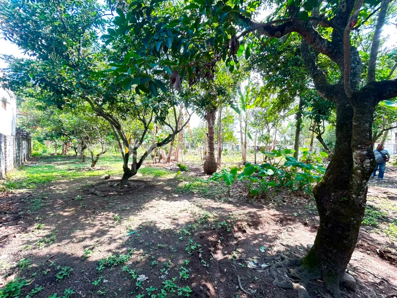 Ruko & Komersial · Kota Mataram · foto 2 dari 7 Tanah Industri Strategis Dekat GOR Turide, Mataram - 525 - 2