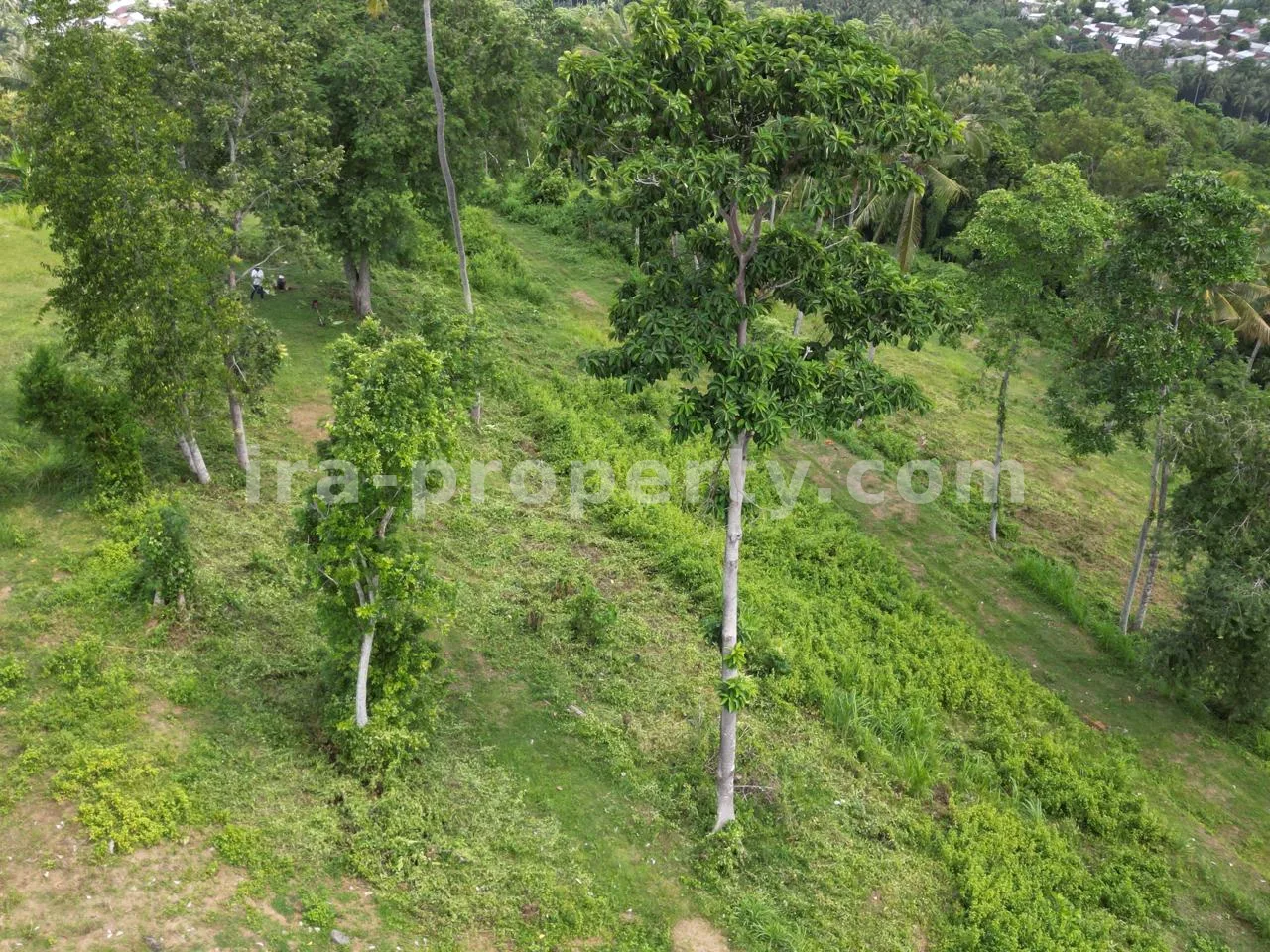 Tanah · Senggigi · foto 4 dari 16 Tanah Premium di Bukit Senteluk, Batu Layar, Lombok - X35752 - 4