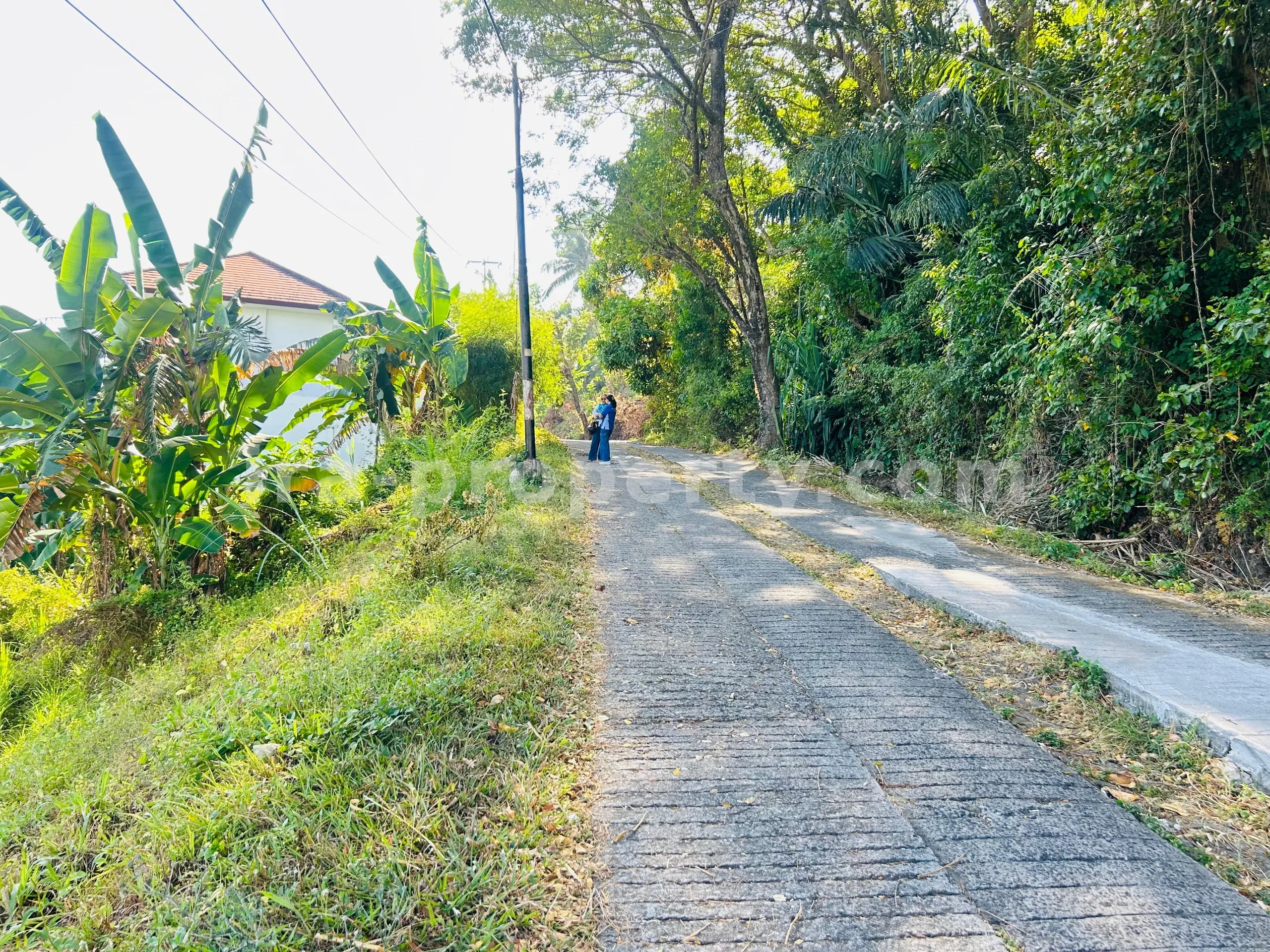 Tanah · Senggigi · foto 5 dari 10 Tanah Premium Pemandangan Laut untuk Dijual di The Hill, Batu Layar – Dekat Senggigi, Lombok - 405 - 5