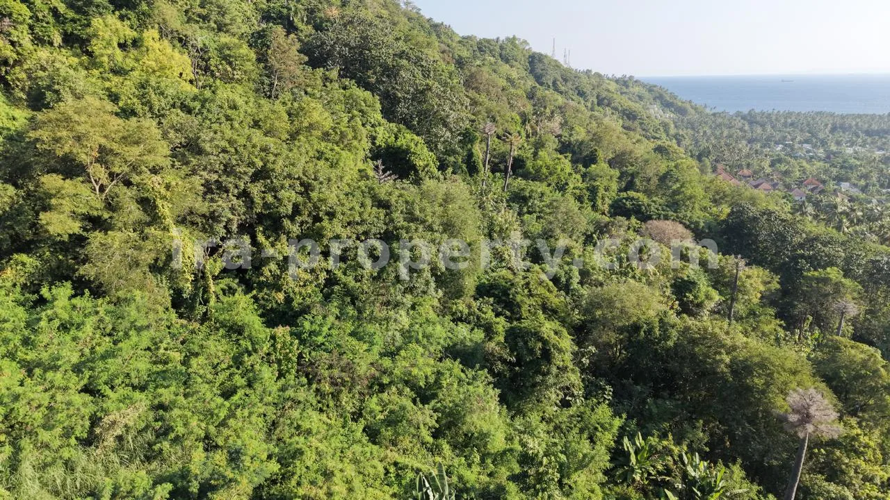 Tanah · Senggigi · foto 4 dari 8 Tanah Pemandangan Laut untuk Dijual di Kerandangan, Dekat Senggigi – Peluang Investasi Bukit Tenang - 404 - 4