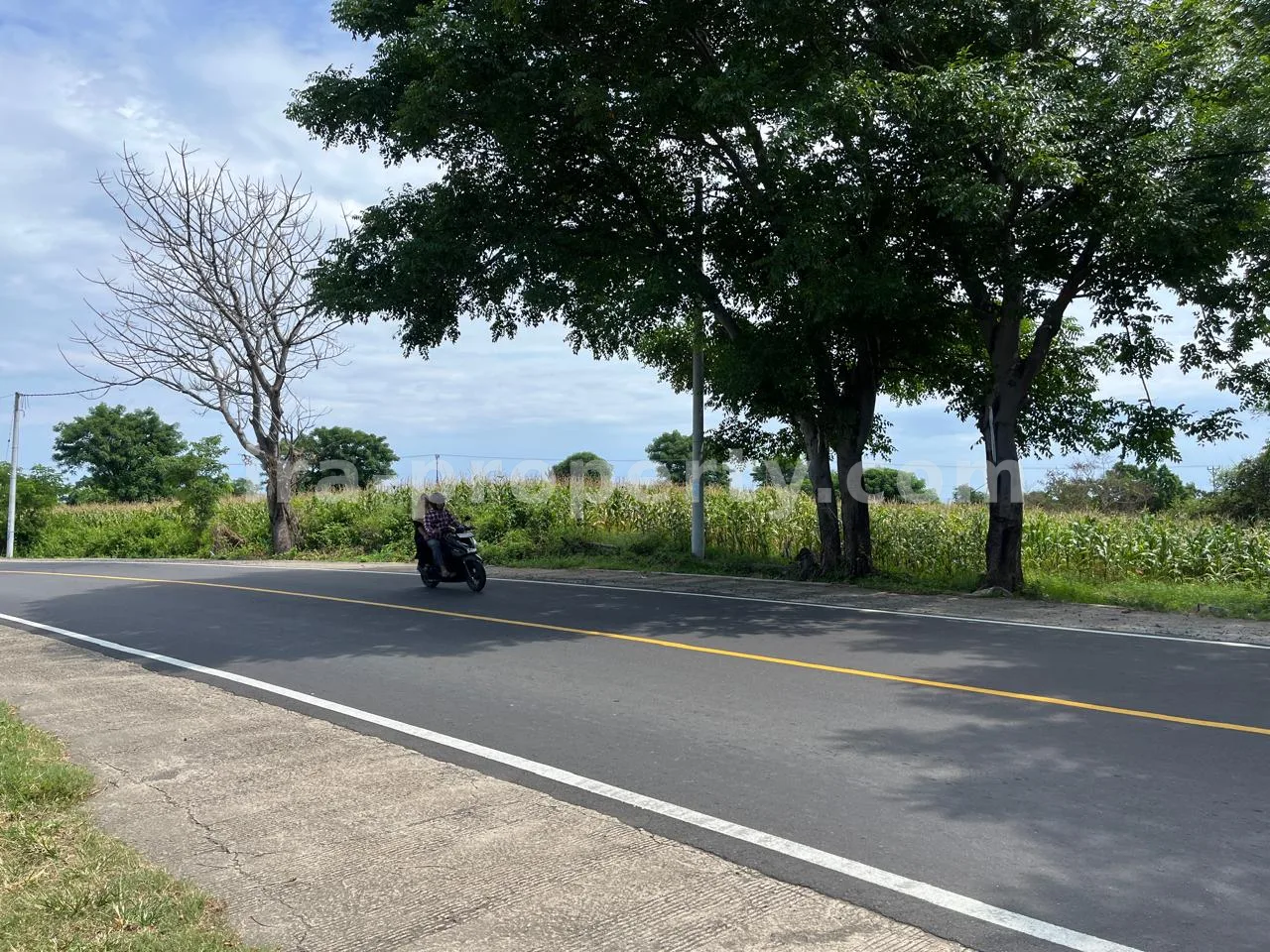 Tanah · Area Lombok Utara · foto 2 dari 3 Tanah 1,8 Hektar Pemandangan Laut di Pinggir Jalan Gondang - 402 - 2