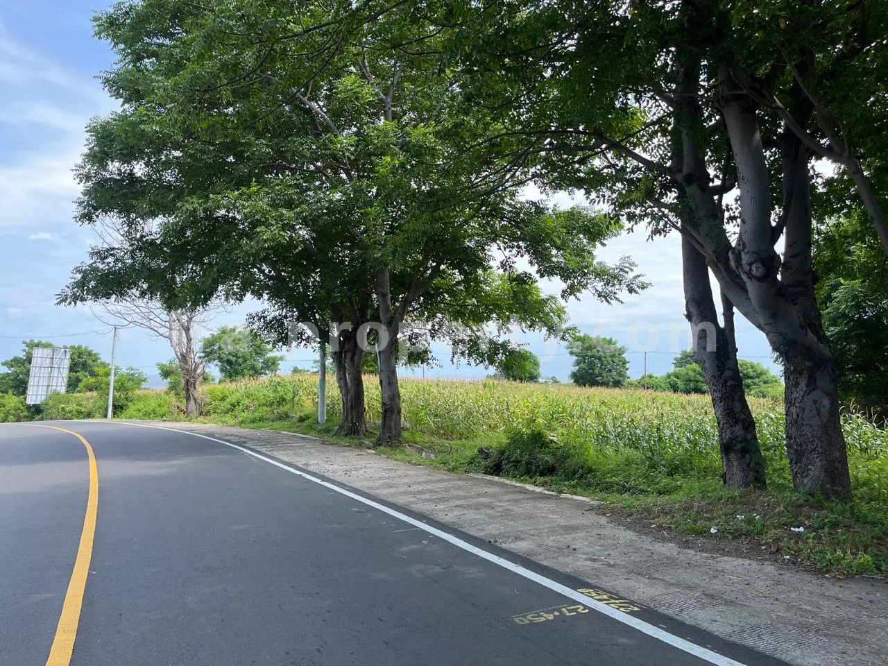 Tanah · Area Lombok Utara · foto 3 dari 3 Tanah 1,8 Hektar Pemandangan Laut di Pinggir Jalan Gondang - 402 - 3