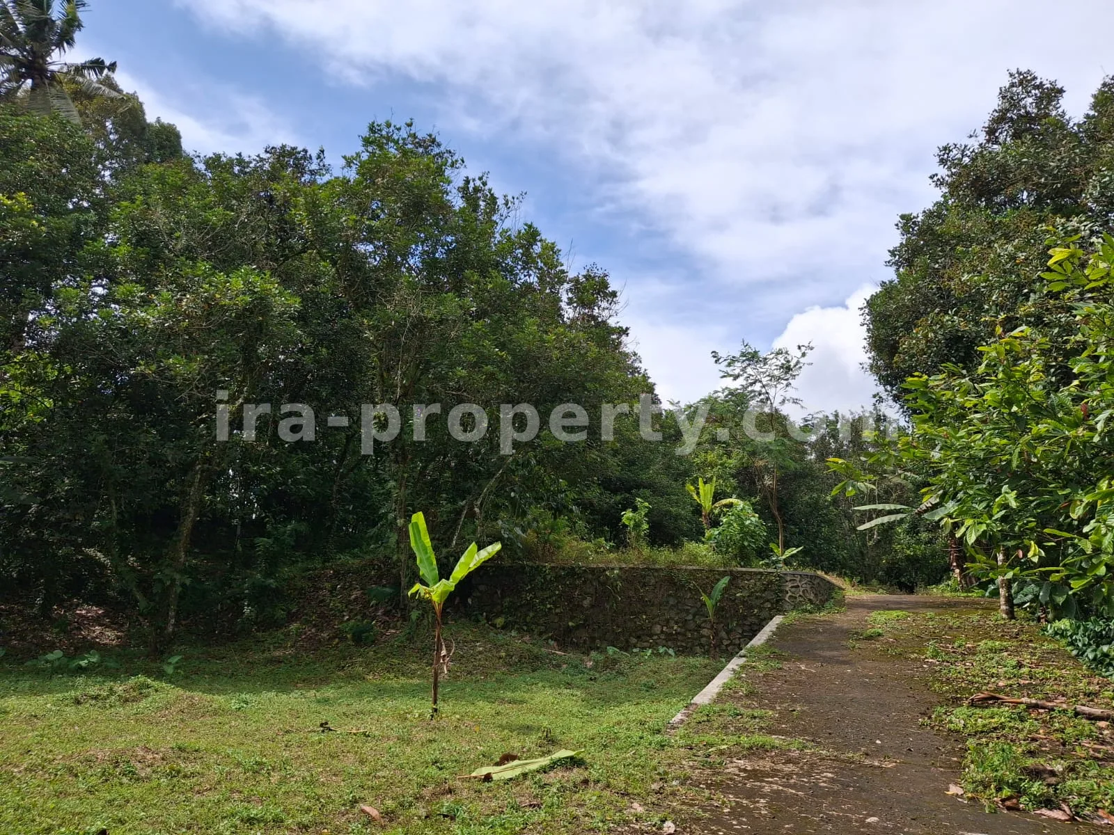Land · West Lombok Area · photo 2 of 11 Garden Estate for Sale in Narmada Near Sesaot, West Lombok - 424 - 2