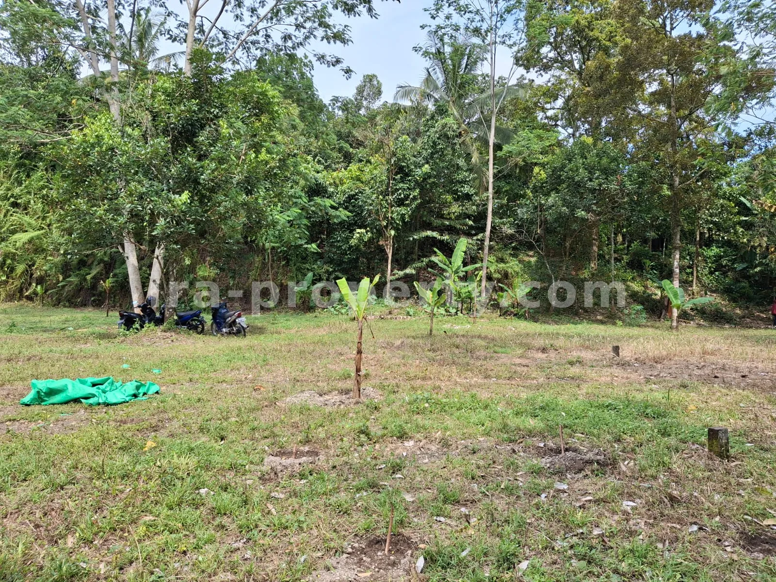 Land · West Lombok Area · photo 4 of 11 Garden Estate for Sale in Narmada Near Sesaot, West Lombok - 424 - 4