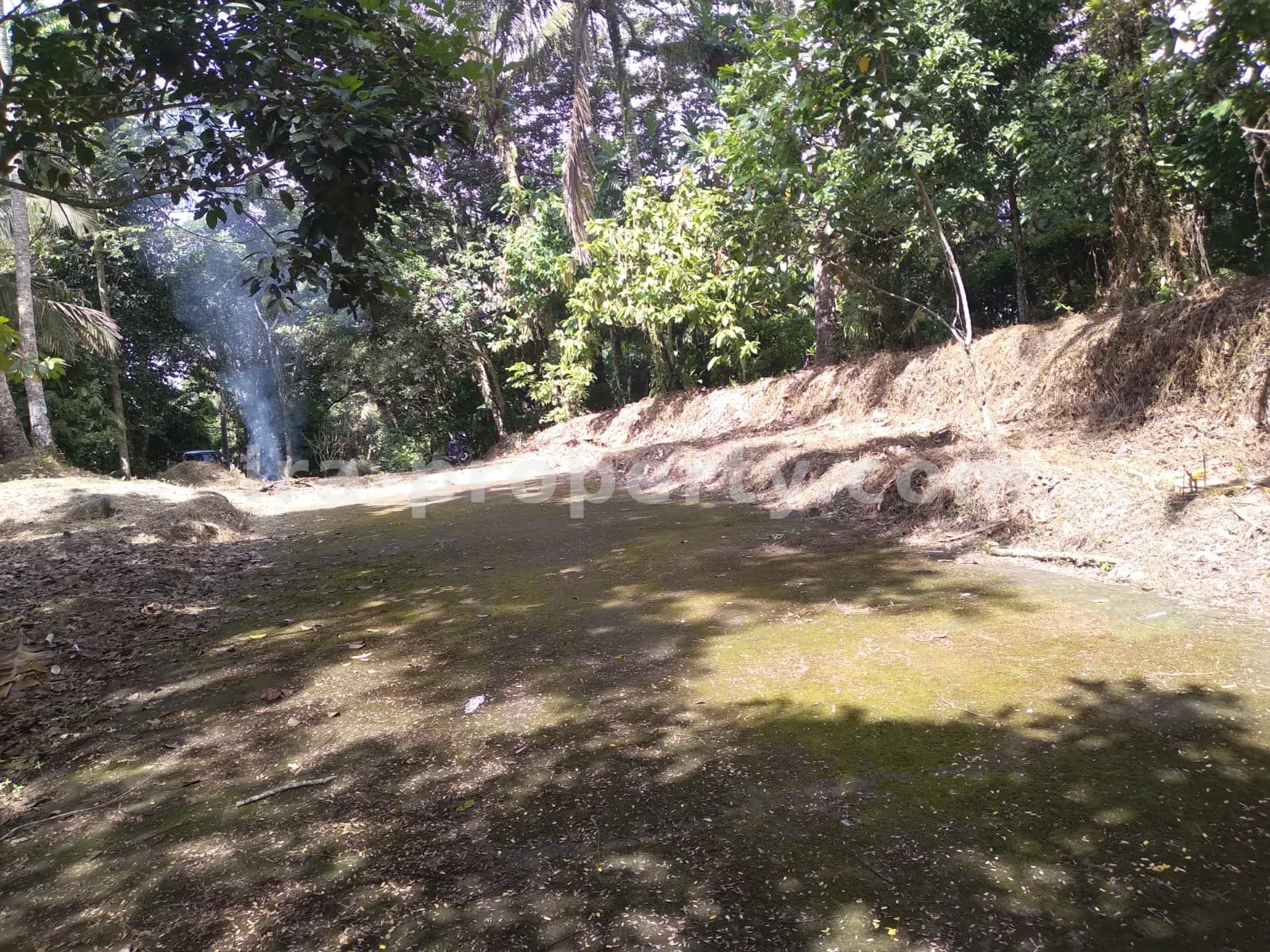 Land · West Lombok Area · photo 5 of 11 Garden Estate for Sale in Narmada Near Sesaot, West Lombok - 424 - 5