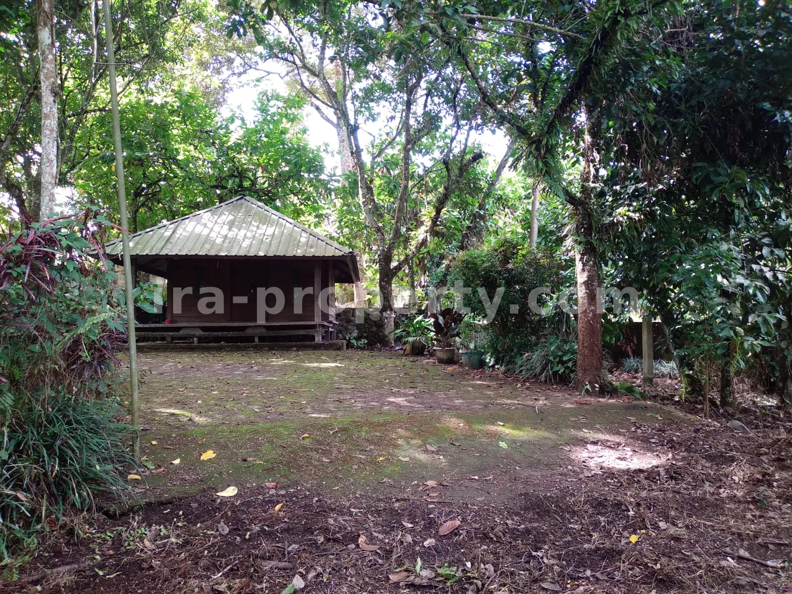 Garden Estate for Sale in Narmada Near Sesaot, West Lombok - 424 - 7