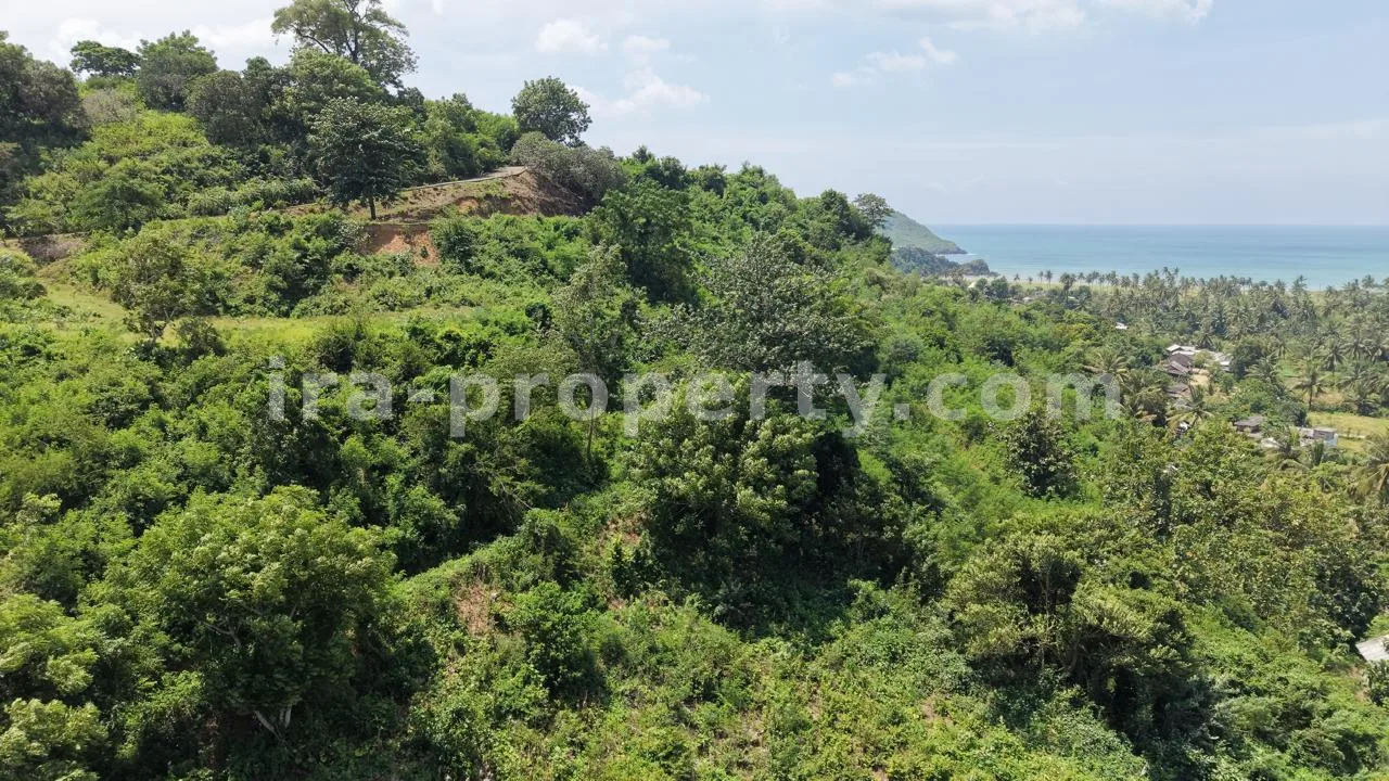 Land · Kuta Mandalika · photo 2 of 10 Hilltop Ocean View Land in Areguling – Near Kuta Mandalika - 548-2 - 2