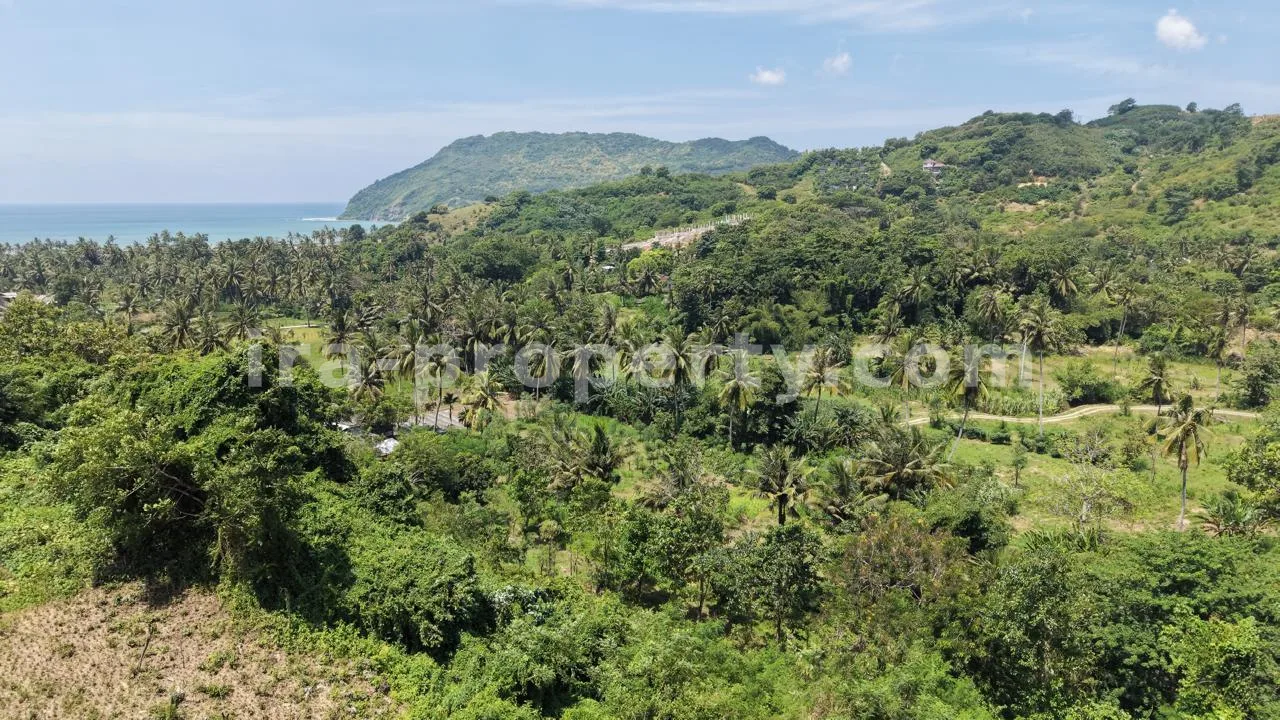 Land · Kuta Mandalika · photo 4 of 10 Hilltop Ocean View Land in Areguling – Near Kuta Mandalika - 548-2 - 4