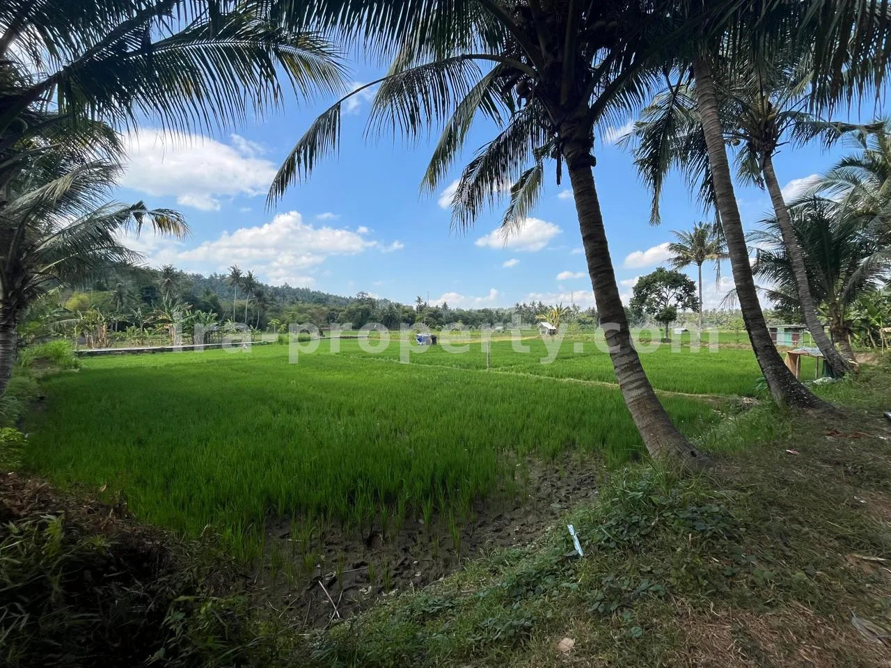 Land · West Lombok Area · photo 2 of 7 Land Plot for Sale in Kekait, Gunung Sari, West Lombok - 526 - 2