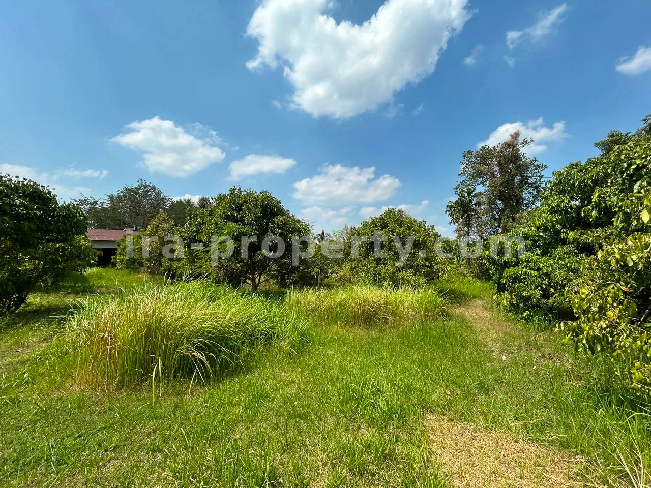 Shophouse & Commercial · West Lombok Area · photo 4 of 17 Large Warehouse Complex for Sale in Lingsar, West Lombok - 83-3 - 4