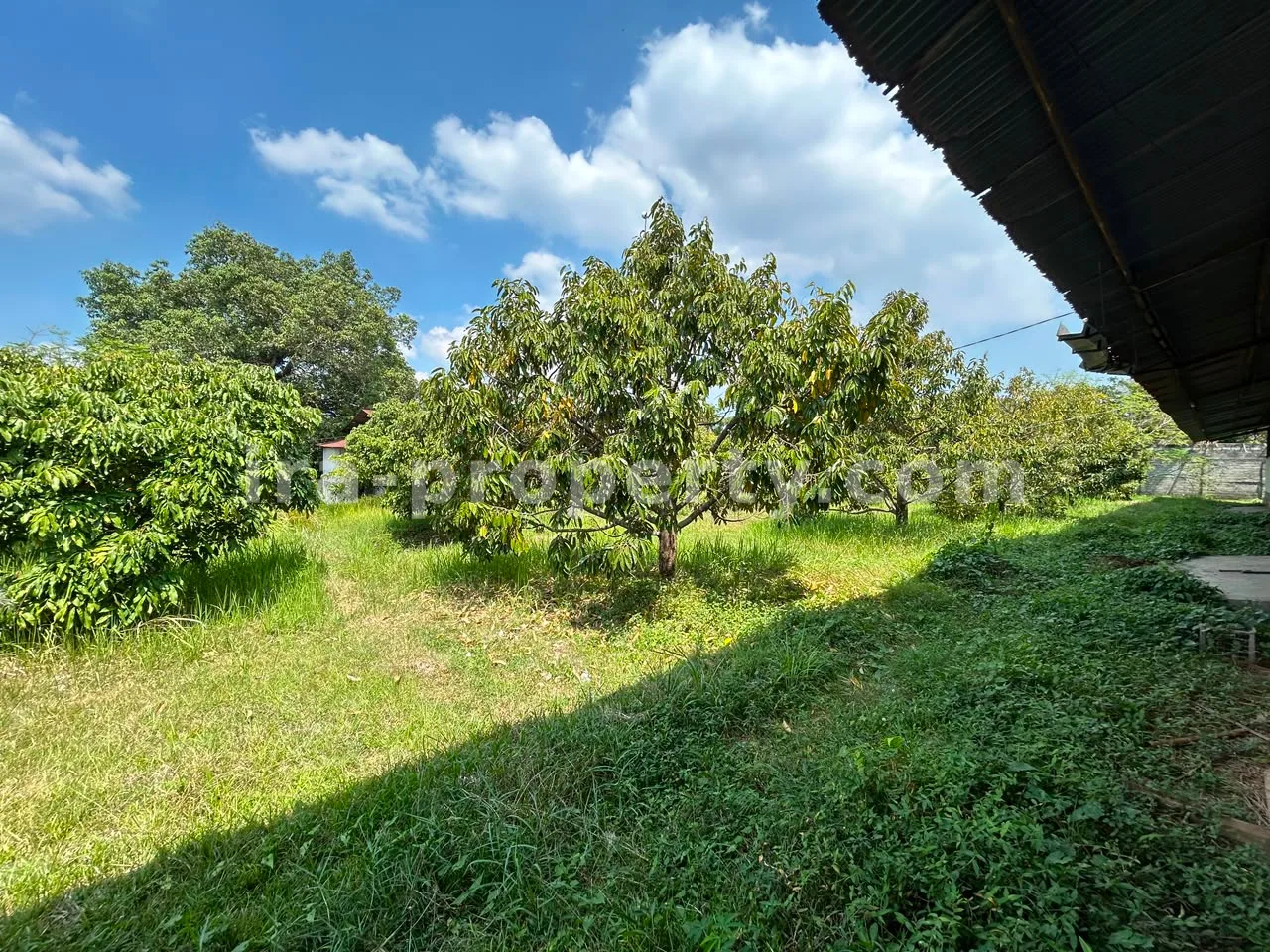 Shophouse & Commercial · West Lombok Area · photo 5 of 17 Large Warehouse Complex for Sale in Lingsar, West Lombok - 83-3 - 5