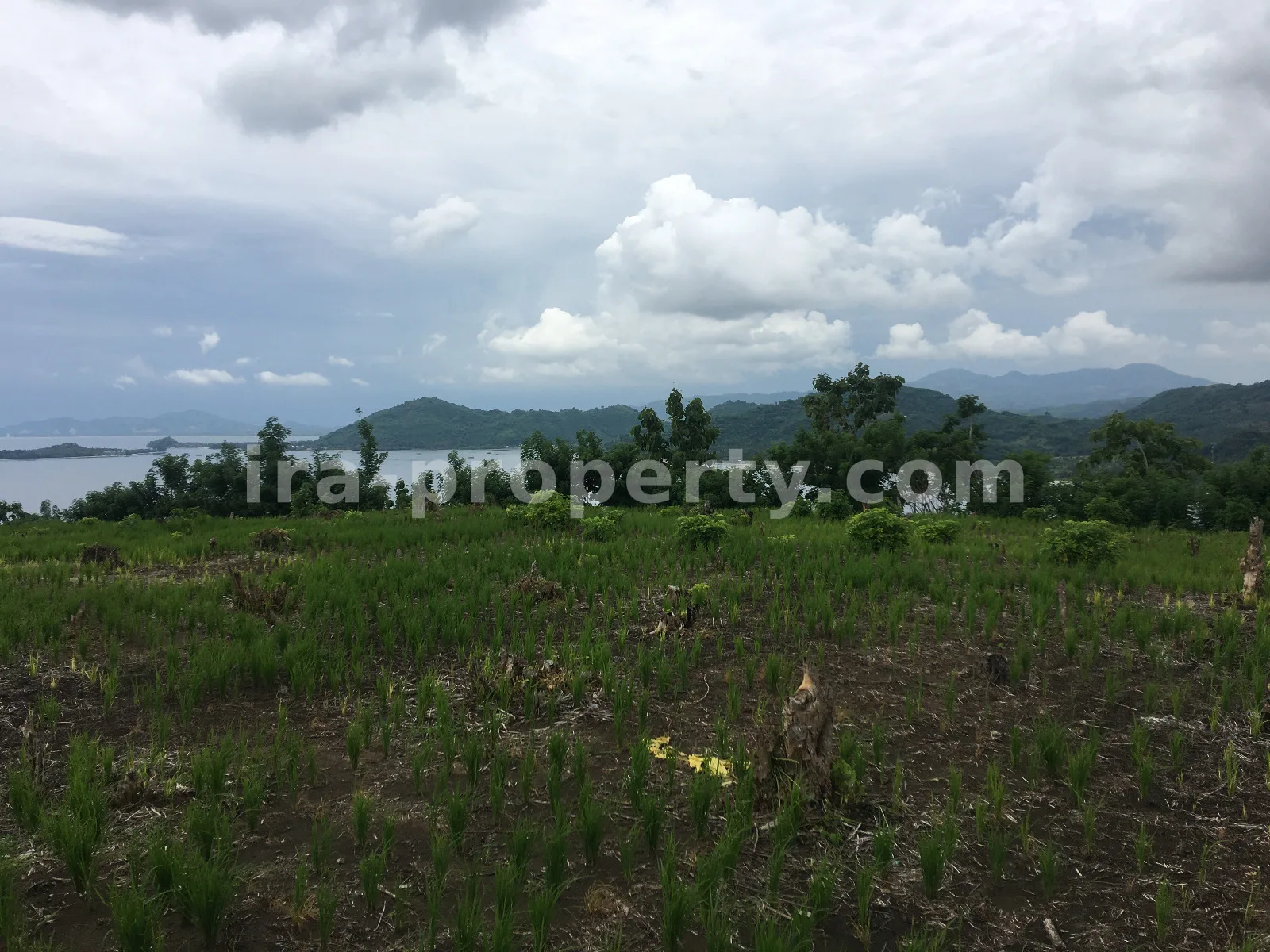 Tanah · Sekotong · foto 4 dari 7 Tanah dengan Pemandangan Laut di Tawun, Sekotong, Lombok Barat - 212 - 4