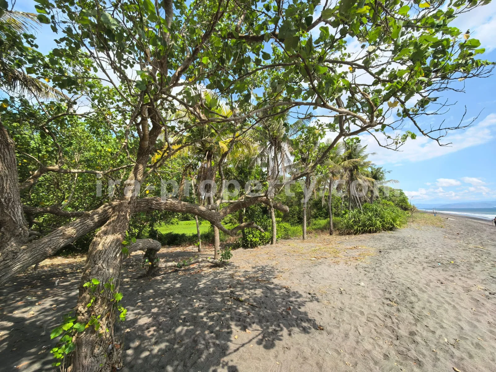 Beachfront Land for Sale in Kuranji, West Lombok - 426 - 11
