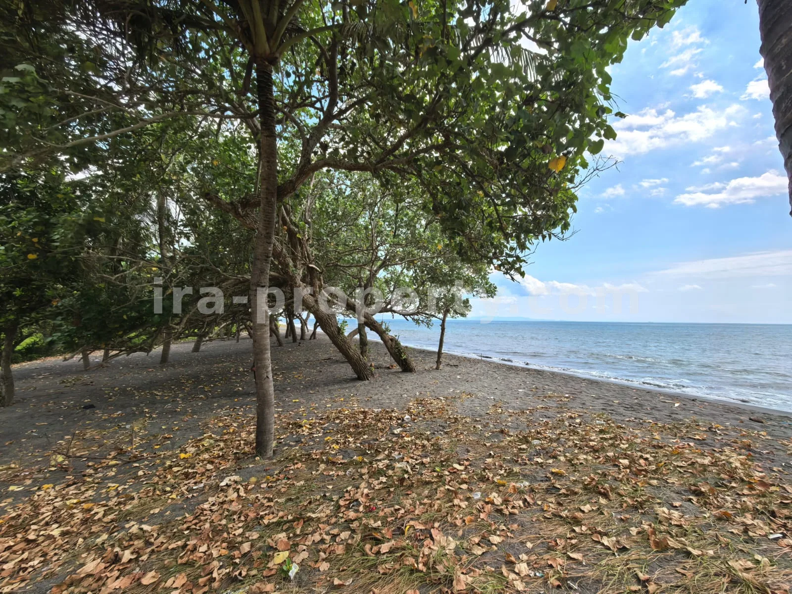 Land · West Lombok Area · photo 2 of 11 Beachfront Land for Sale in Kuranji, West Lombok - 426 - 2