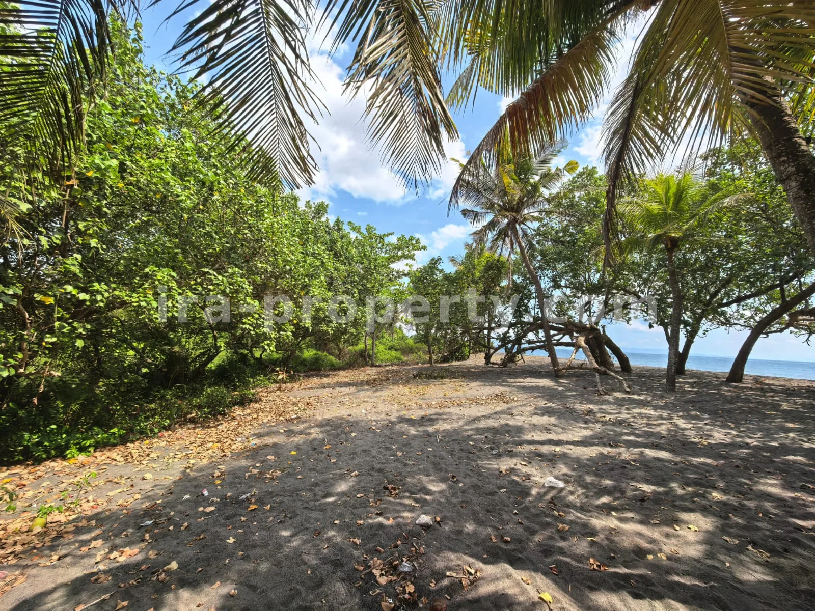 Land · West Lombok Area · photo 3 of 11 Beachfront Land for Sale in Kuranji, West Lombok - 426 - 3