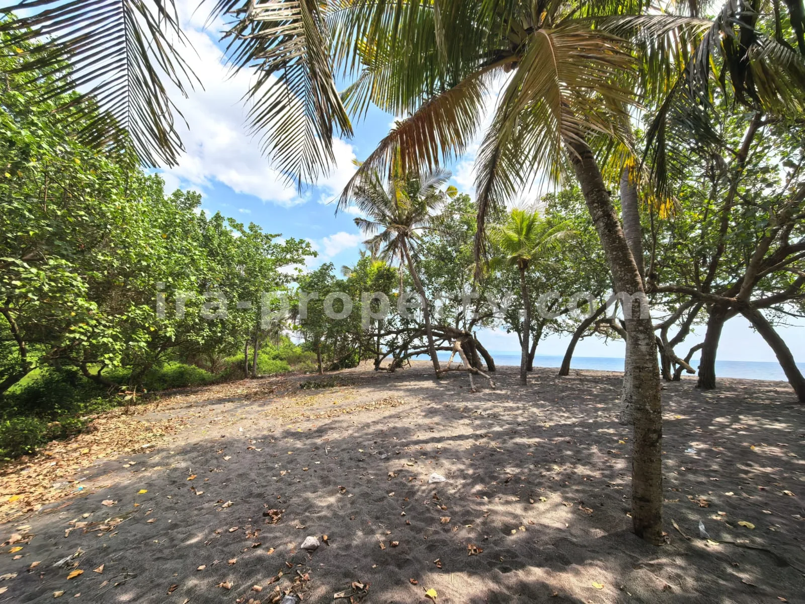 Land · West Lombok Area · photo 4 of 11 Beachfront Land for Sale in Kuranji, West Lombok - 426 - 4