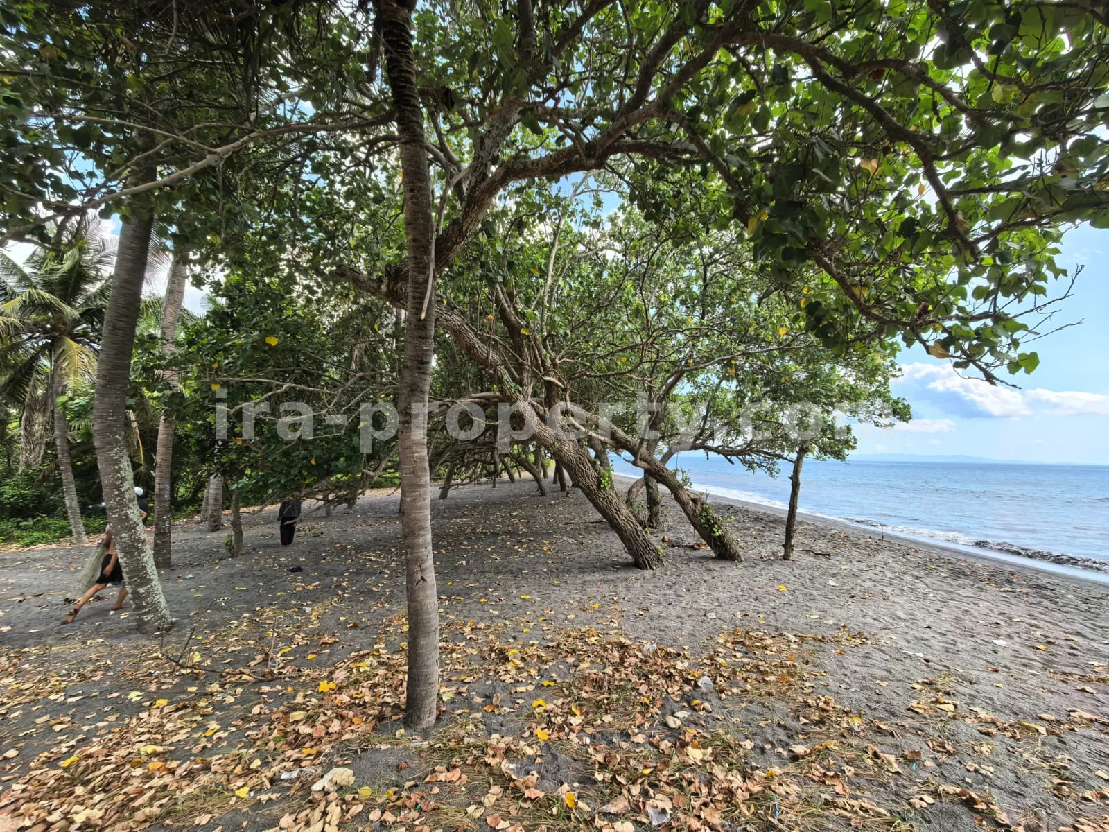 Land · West Lombok Area · photo 5 of 11 Beachfront Land for Sale in Kuranji, West Lombok - 426 - 5