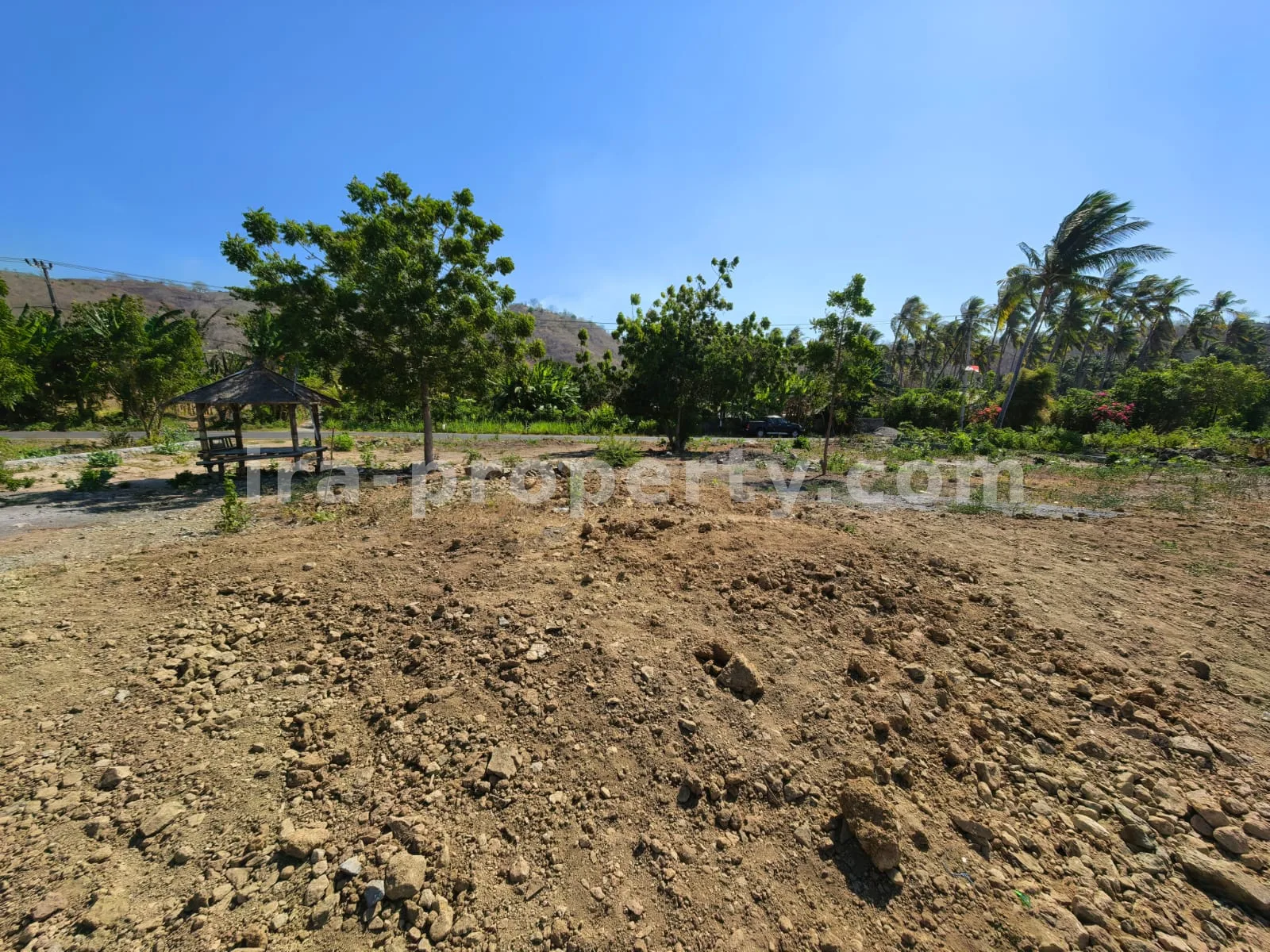 Tanah · Sekotong · foto 1 dari 8 Tanah Tepi Pantai di Sekotong, Lombok Barat - 213 - 1