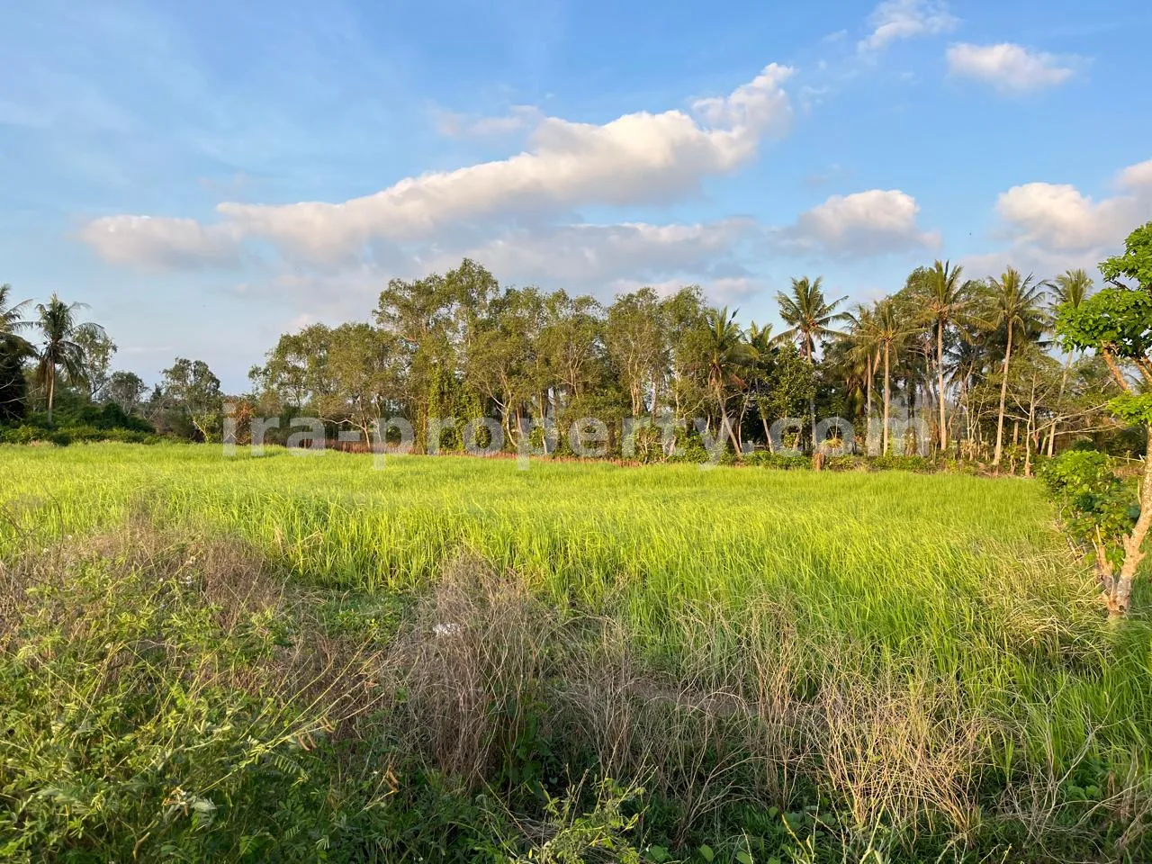 Land · West Lombok Area · photo 3 of 9 Flexible 20 to 40-Are Beachfront Plot – Pink Zone Tourism Land in Kuranji, West Lombok - 410-3 - 3