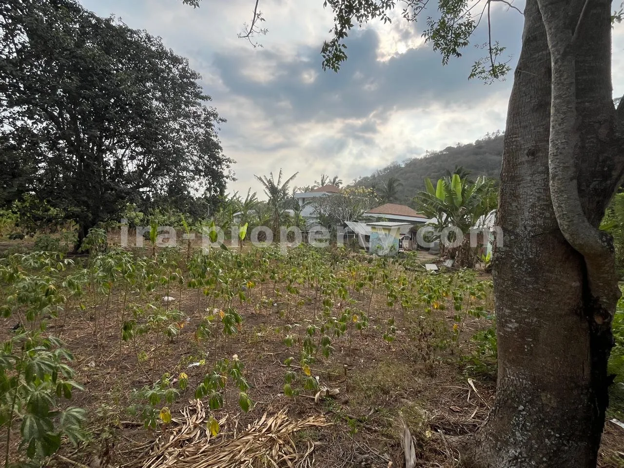 Tanah · Senggigi · foto 1 dari 7 Tanah Perbukitan Strategis di Kerandangan Dekat Senggigi - 406-2 - 1