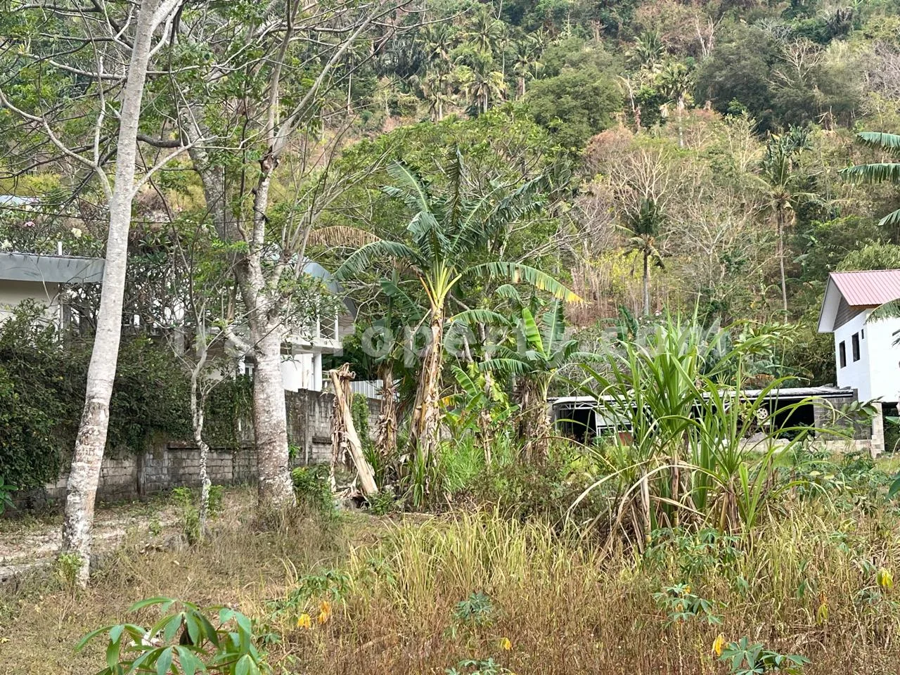 Tanah · Senggigi · foto 3 dari 7 Tanah Perbukitan Strategis di Kerandangan Dekat Senggigi - 406-2 - 3