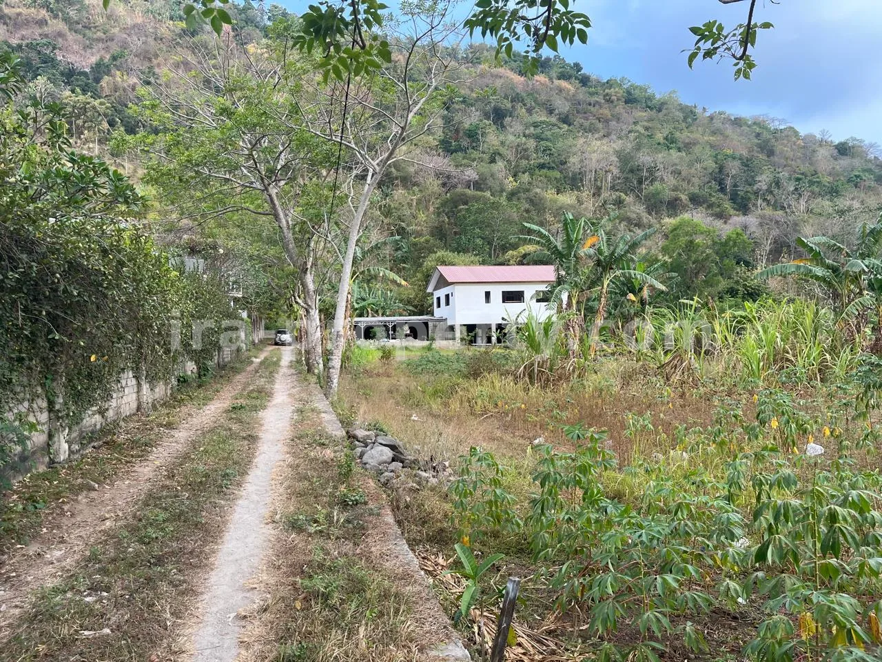 Tanah · Senggigi · foto 5 dari 7 Tanah Perbukitan Strategis di Kerandangan Dekat Senggigi - 406-2 - 5