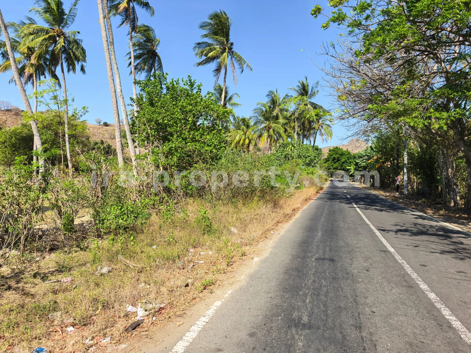 Tanah · Sekotong · foto 4 dari 8 Tanah Tepi Pantai Luas di Sekotong, Lombok Barat - 214 - 4