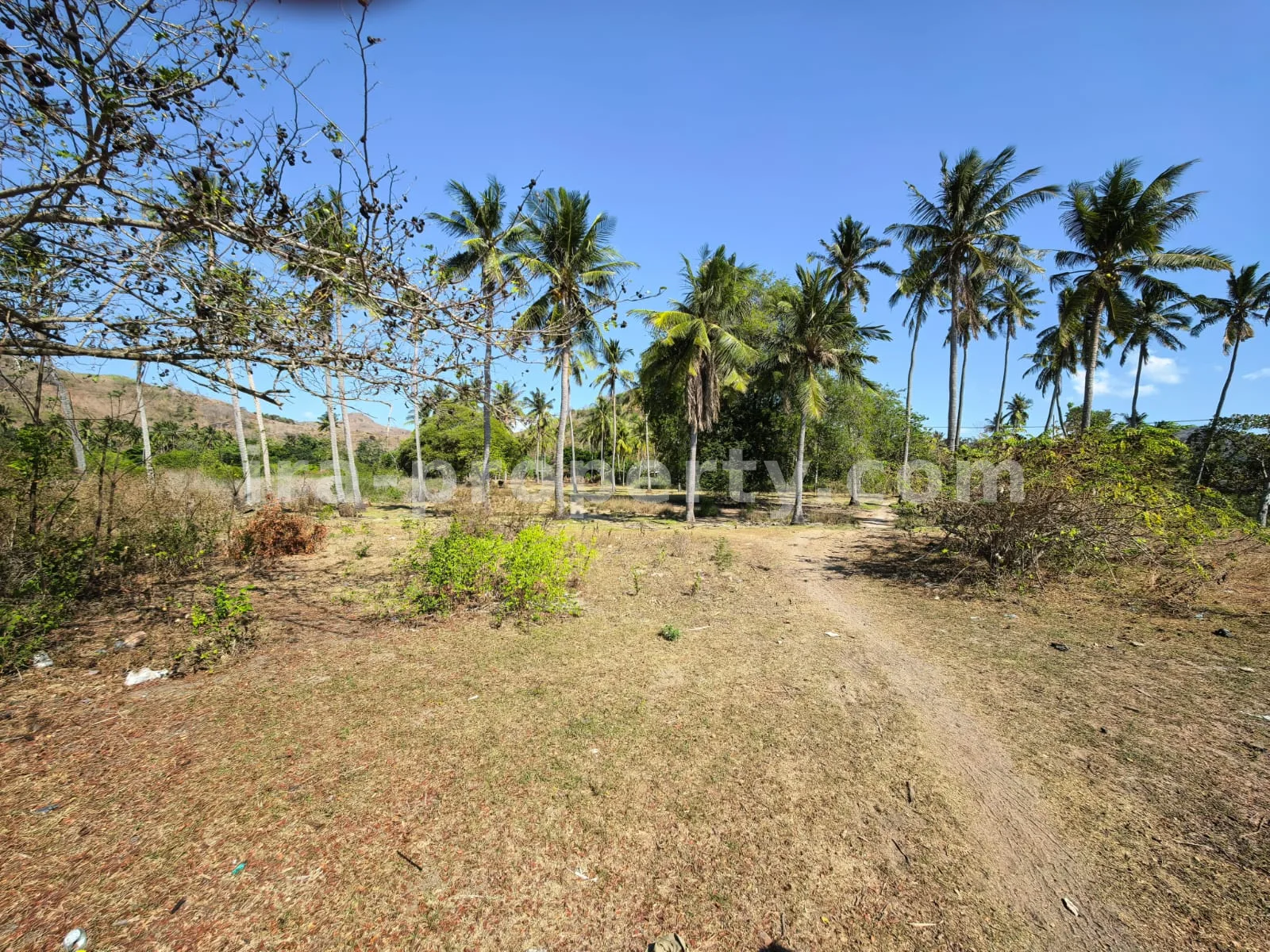 Tanah · Sekotong · foto 5 dari 8 Tanah Tepi Pantai Luas di Sekotong, Lombok Barat - 214 - 5