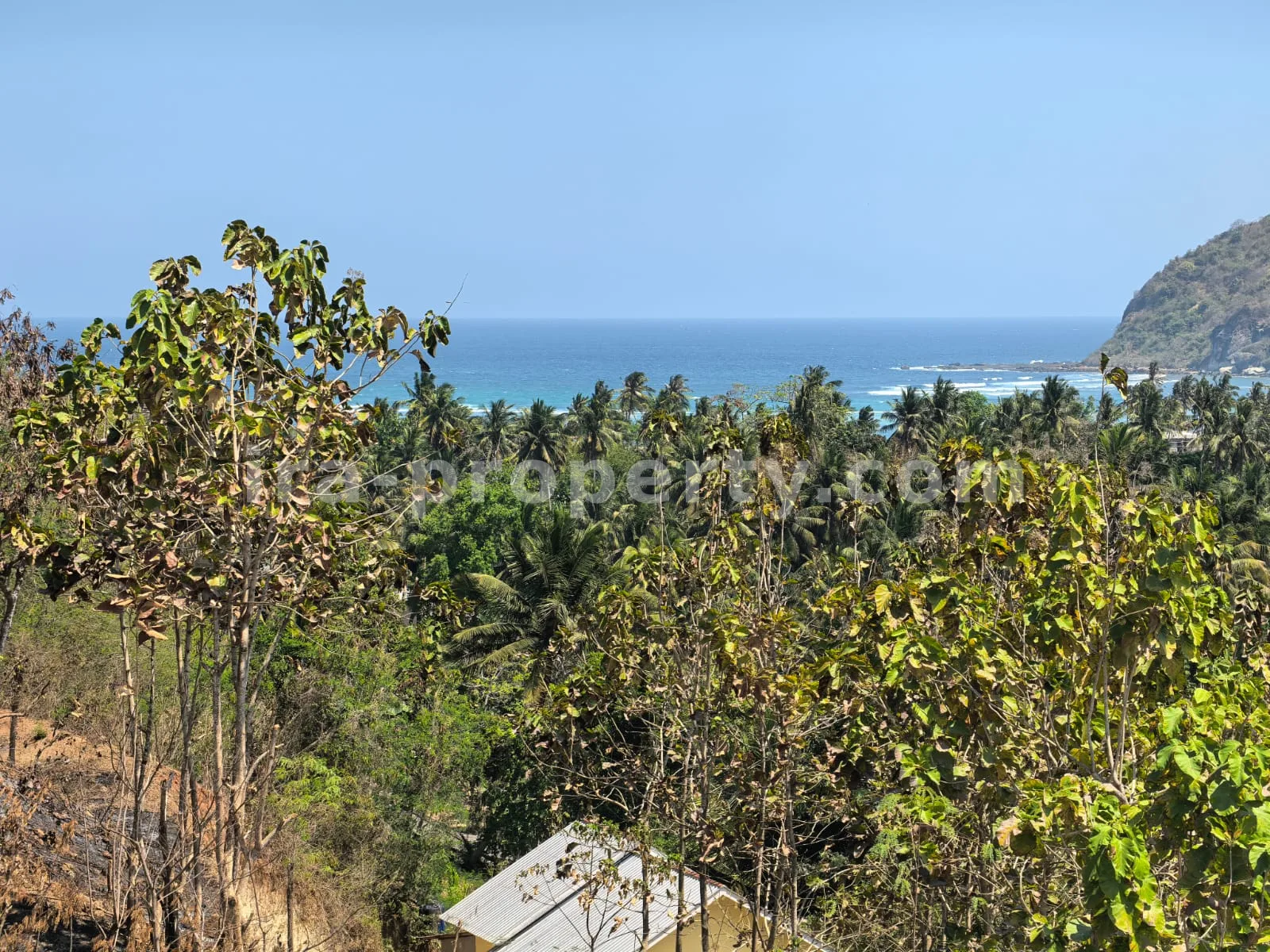 Ocean-View Land Plots in Prabu Areguling near Kuta Mandalika - 537 - 13