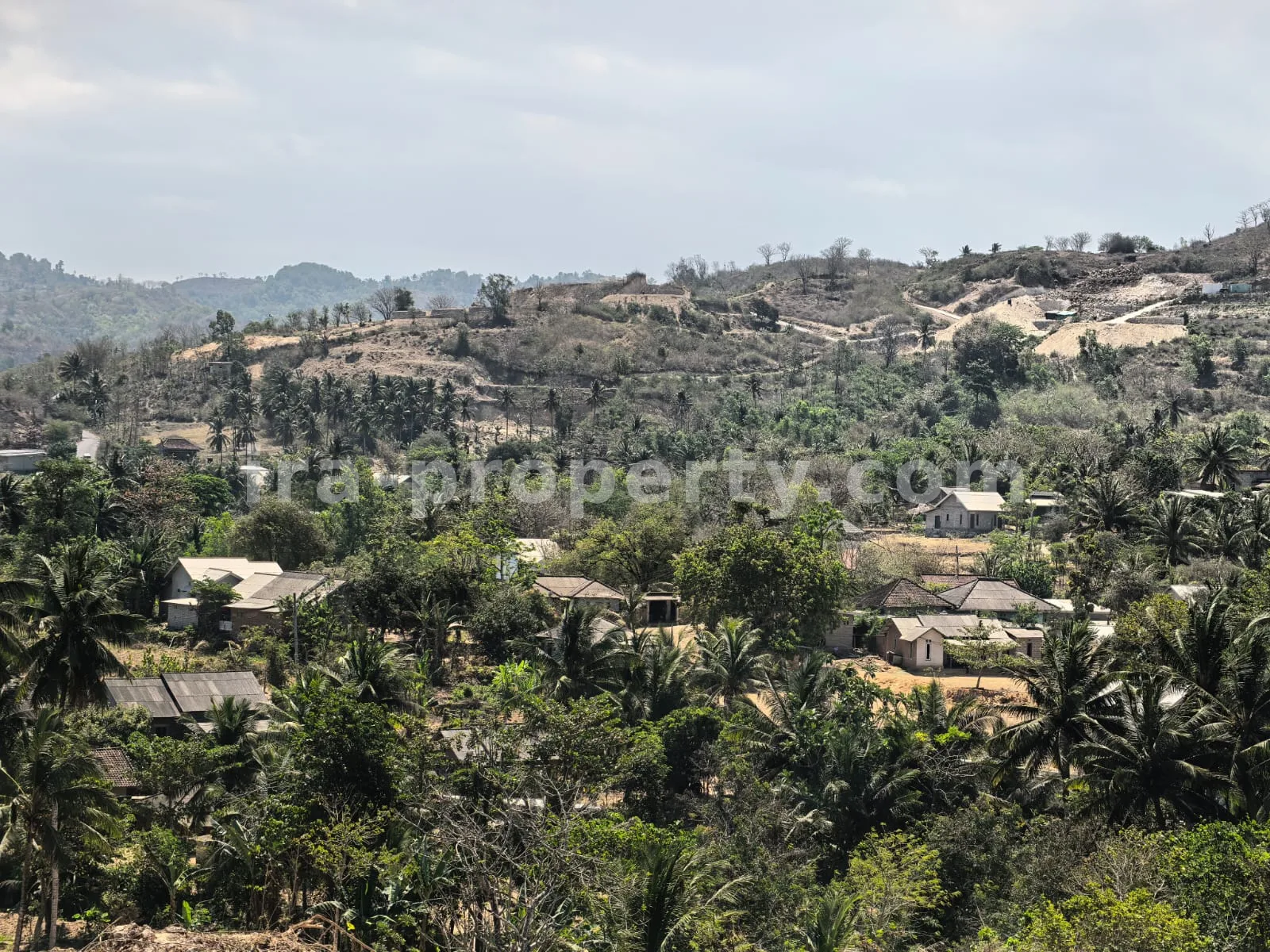 Ocean-View Land Plots in Prabu Areguling near Kuta Mandalika - 537 - 14