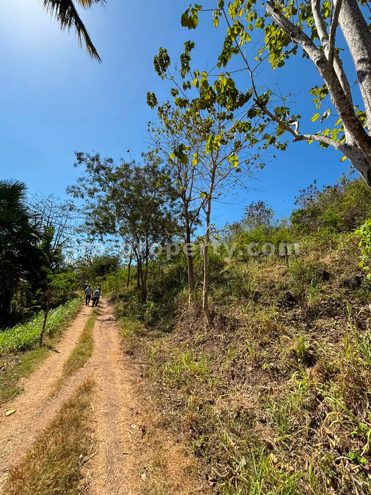Ocean-View Land Plots in Prabu Areguling near Kuta Mandalika - 537 - 16