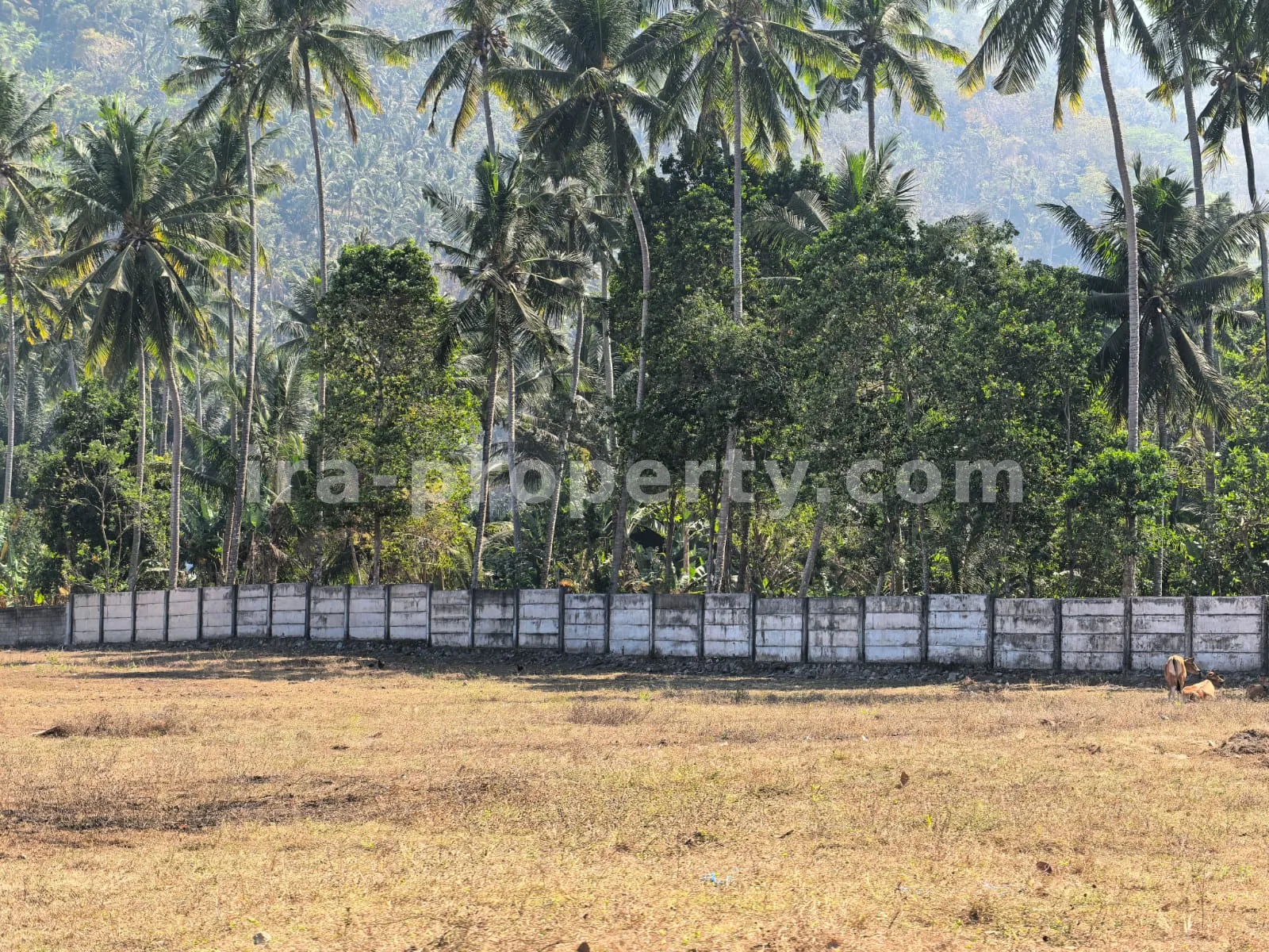 Tanah Vila Siap Bangun untuk Dijual di Senggigi, Lombok Barat - 408-2 - 11