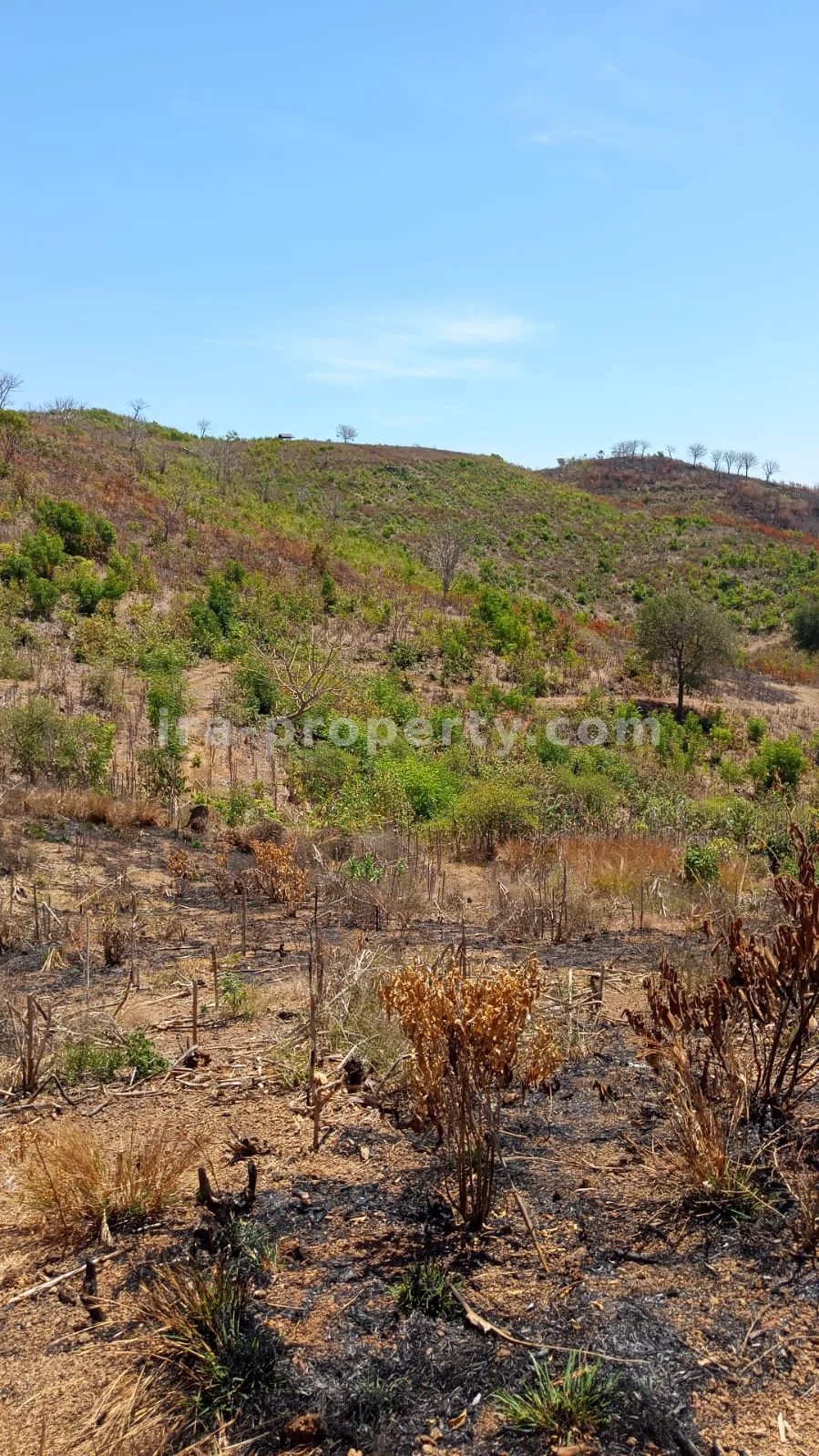 Tanah · Kuta Mandalika · foto 3 dari 5 Tanah Pemandangan Laut untuk Dijual di Awang, Lombok Tengah - 559 - 3