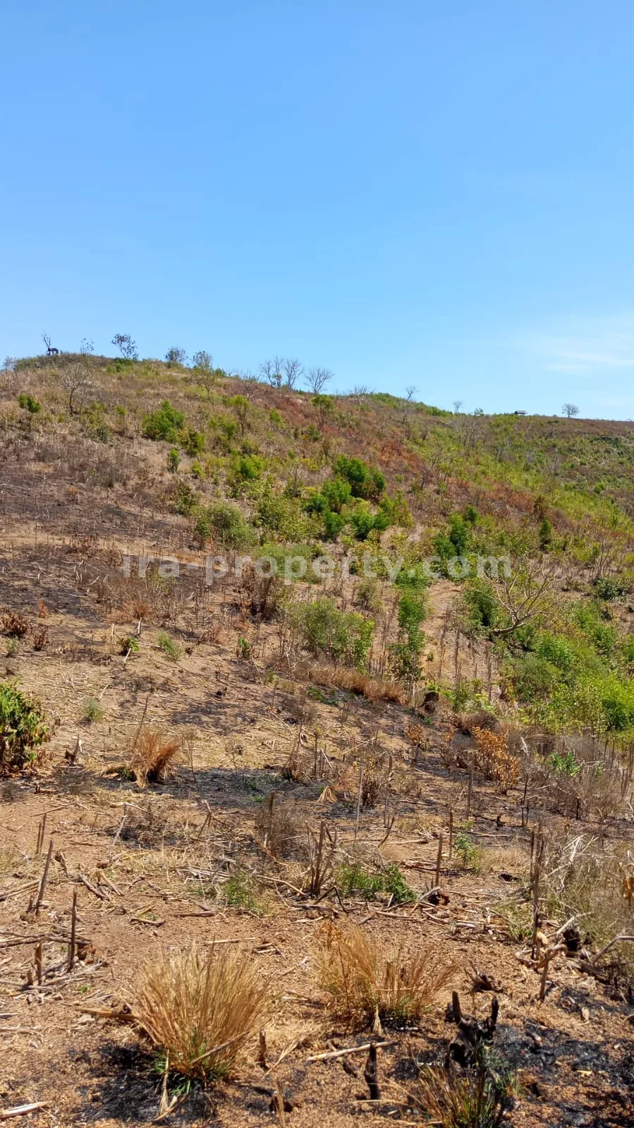 Tanah · Kuta Mandalika · foto 4 dari 5 Tanah Pemandangan Laut untuk Dijual di Awang, Lombok Tengah - 559 - 4