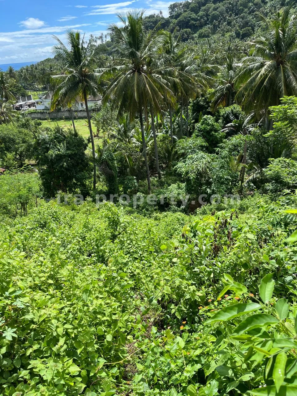 Tanah · Senggigi · foto 2 dari 7 Tanah Wisata Pemandangan Laut untuk Dijual di Depan Jeeva Klui Resort, Senggigi - 400 - 2